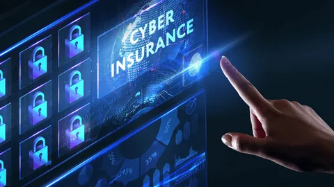 Silverfort Cyber Insurance in 2026
